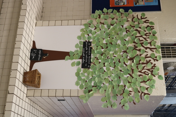 “Árvore da presença” no 1º dia.